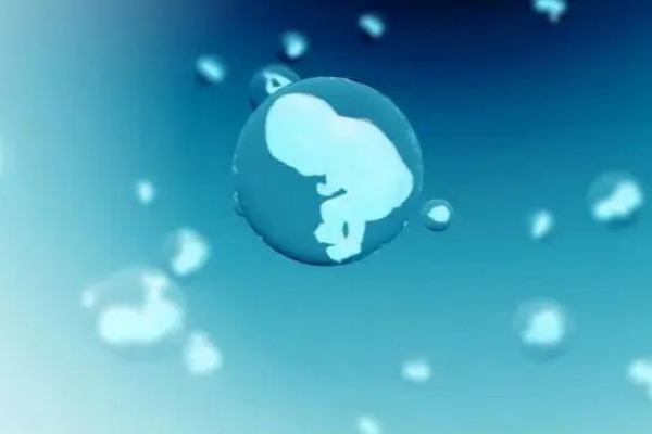 赴美试管全攻略:你关心的问题在这里! 赴美试管全攻略:你关心的问题在这里!