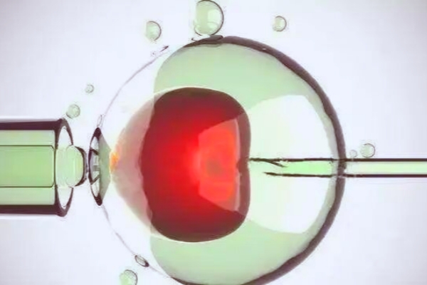 高龄备孕不用慌,三代试管技术来帮忙! 高龄备孕不用慌,三代试管技术来帮忙!