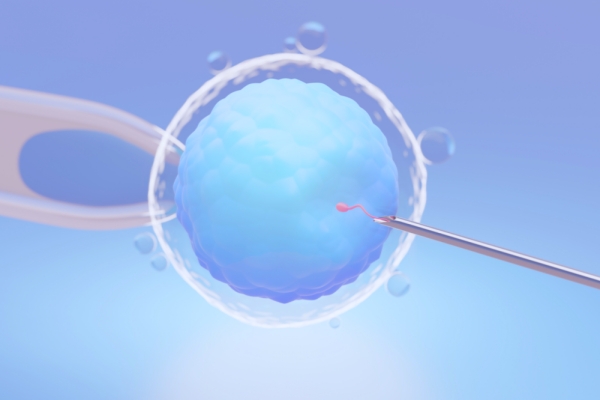 多囊卵巢试管婴儿成功率揭秘：科学调理是关键