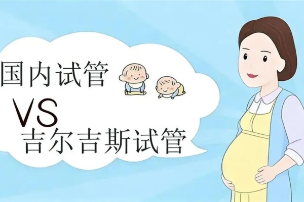 吉尔吉斯斯坦试管 vs 国内试管:2026 年怎么选才不踩坑? 吉尔吉斯斯坦试管 vs 国内试管:2026 年怎么选才不踩坑?