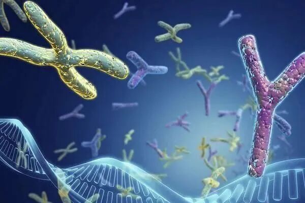 当国内试管受阻，2026格鲁吉亚陪你续写好孕篇章