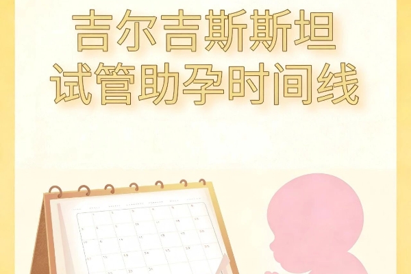 吉尔吉斯斯坦试管助孕：时间上怎么安排？