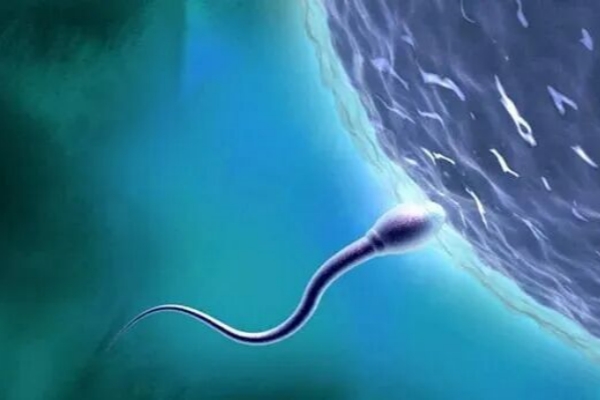 2026单身男性赴格鲁吉亚试管助孕，这些准备不可少！